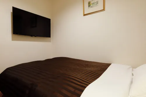Hotel Osaka Castle Chambres Photos