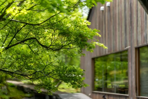 Hotel Sierra Resort Hakuba الأماكن العامة Photos