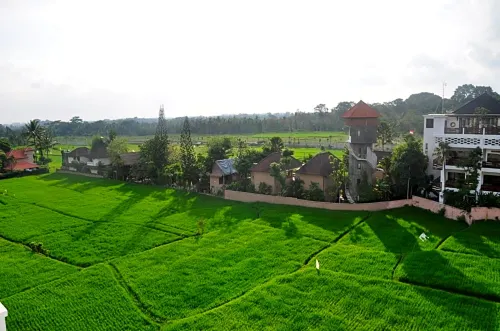 The Evitel Resort Ubud Dekat Hotel Photos