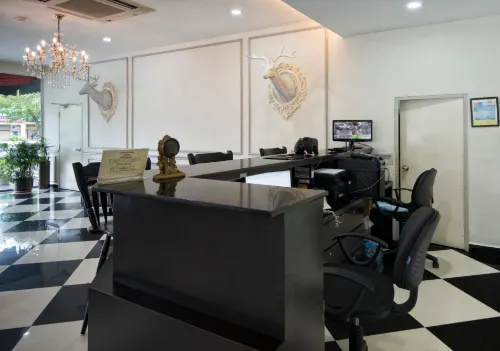 Luscious Hotel Public Areas Photos