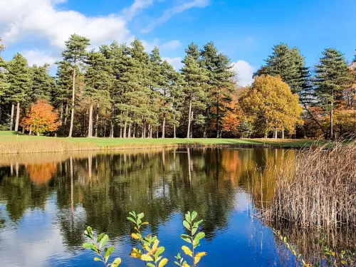 Forest Pines Hotel, Spa & Golf Resort Near Hotel Photos