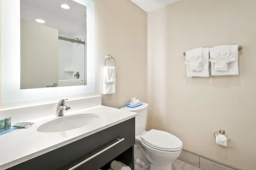 The English Inn of Charlottesville Rooms Photos