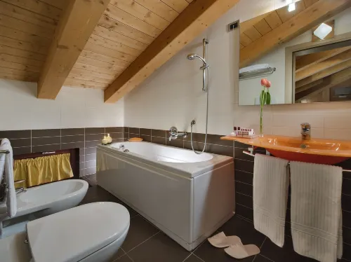 Annia Park Hotel Venice Airport Camere Photos