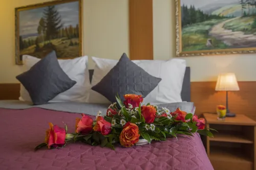 Top Hotel Praha Camere Photos