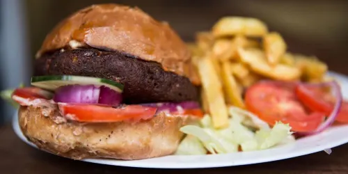 Q-Bar & Guesthouse Dining Photos