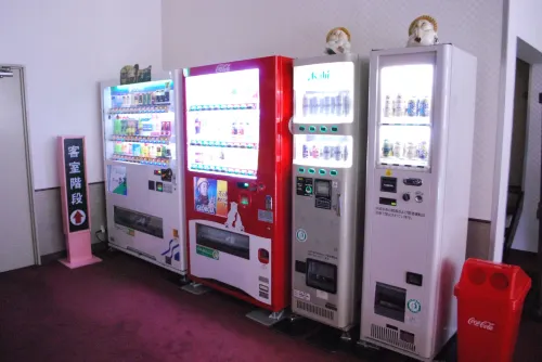 Hotel Kazurabashi Photos