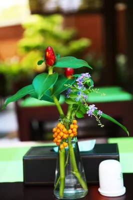 Tropicana Resort Phu Quoc Photos