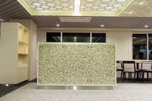 Kanehide Kise Beach Palace Public Areas Photos