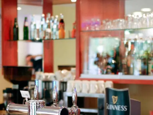 Ibis Strasbourg Aéroport Le Zénith Loisirs et amusements Photos