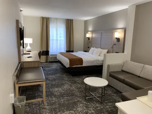 Comfort Suites Anderson-Clemson Chambres Photos