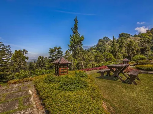 Puncak Pass Resort Dekat Hotel Photos