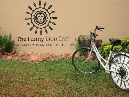 The Funny Lion - Coron Photos