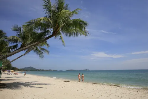 Samui First House Hotel Рядом с отелем Photos