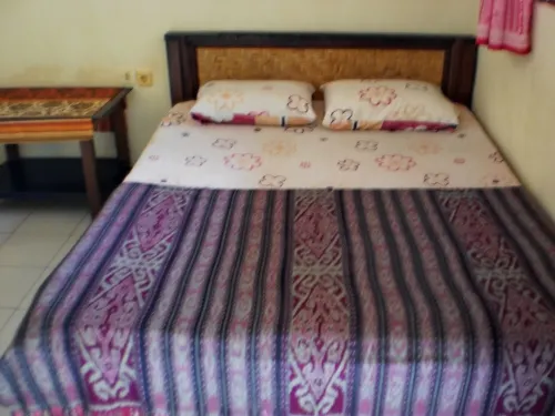 Arjuna Homestay Ubud Chambres Photos