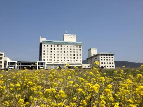 Gifu Grand Hotel Extérieur Photos