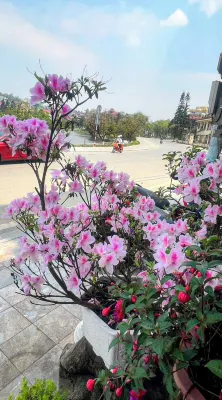 Khách sạn Sapa Lake View Xung quanh Photos