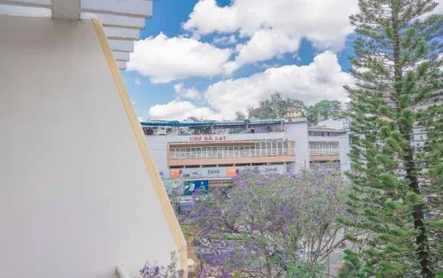 Khách sạn Nice Dream Đà Lạt Phòng Photos