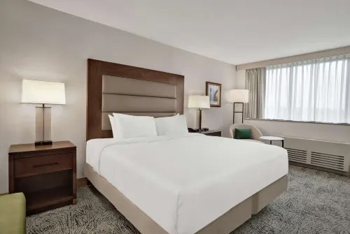 Hilton Arlington National Landing Rooms Photos