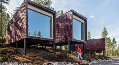 Arctic TreeHouse Hotel Extérieur Photos