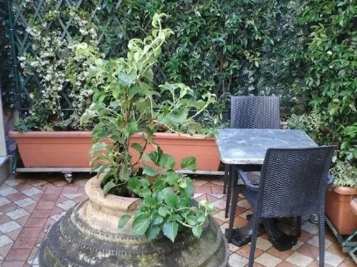 Ca Dell'Arte Public Areas Photos