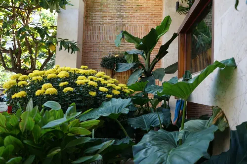 Seasing Boutique Hotel Photos