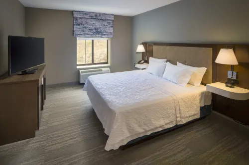 Hampton Inn & Suites Binghamton/Vestal Chambres Photos