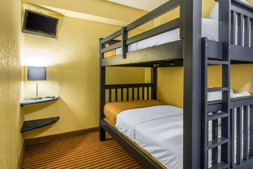 Comfort Inn & Suites Kissimmee by the Parks Photos