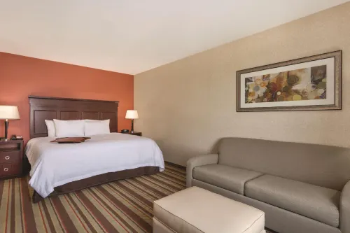 Hampton Inn Detroit/Southgate Kamar Photos