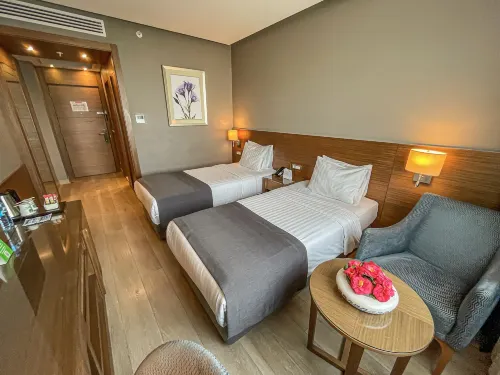 Holiday Inn Bursa - City Centre Photos