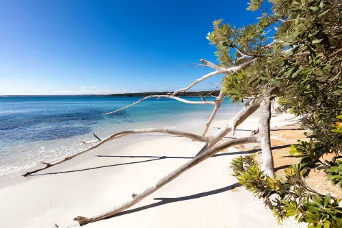 Jervis Bay Motel Leisure & Recreation Photos