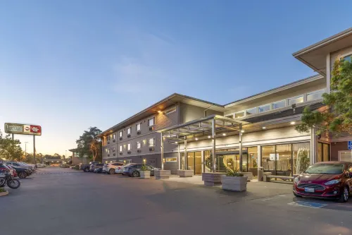 Best Western Plus Bayside Hotel Ngoại thất Photos