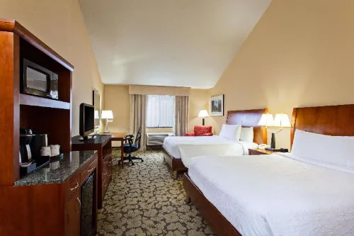 Hilton Garden Inn Valencia at Six Flags Camere Photos