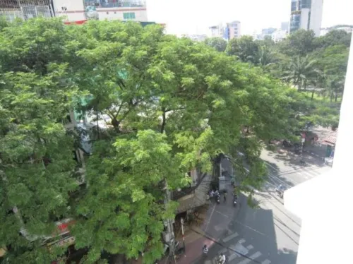 A25 Hotel - 307 Lý Tự Trọng Nổi bật Photos