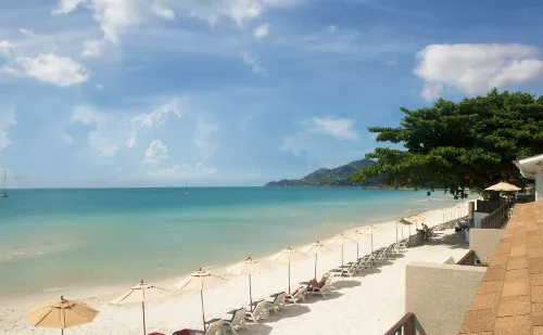 Chaweng Cove Beach Resort À ne pas manquer Photos