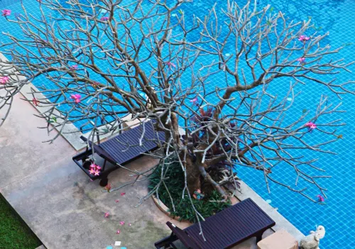 The Zen Hotel Pattaya Benessere e tempo libero Photos