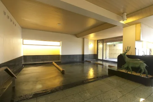 Shikanoyu Hotel Freizeit und Erholung Photos