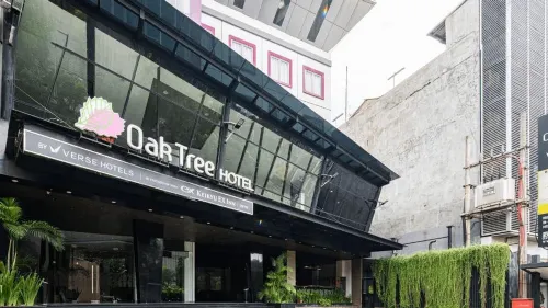Oak Tree Urban Hotel Jakarta À ne pas manquer Photos