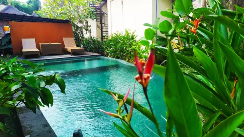 Nobody Inn Bali at Arya Guest House Loisirs et amusements Photos