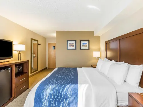 Comfort Inn Shady Grove - Gaithersburg - Rockville Phòng Photos