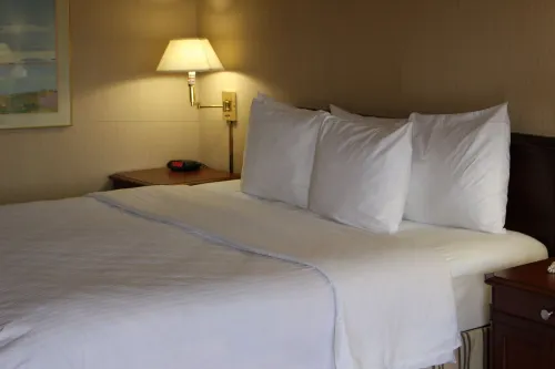Days Inn & Suites by Wyndham Sunnyvale Rooms Photos