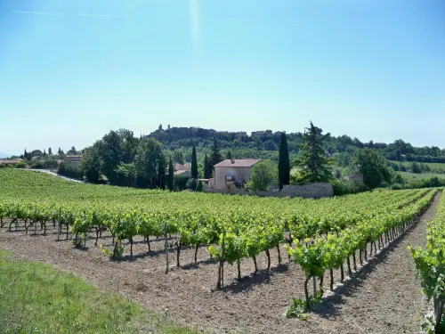 Hotel Bel Alp Manosque Near Hotel Photos
