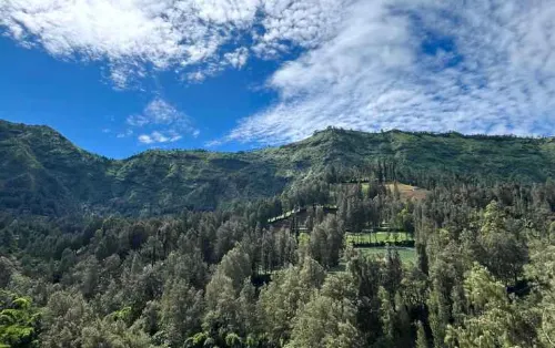 Manis Ae Cabin & Resto Bromo Dekat Hotel Photos