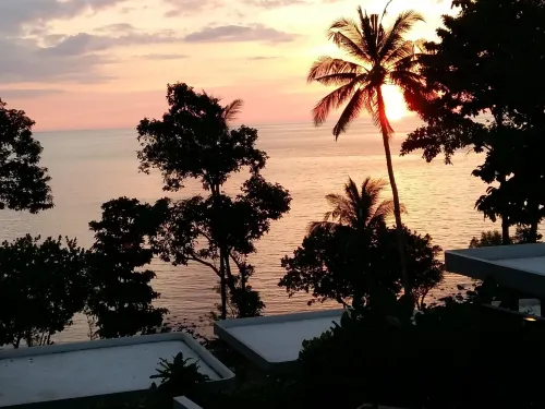 Nest Sense Resort Featured Photos