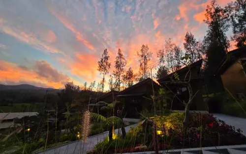 Manis Ae Cabin & Resto Bromo Dekat Hotel Photos
