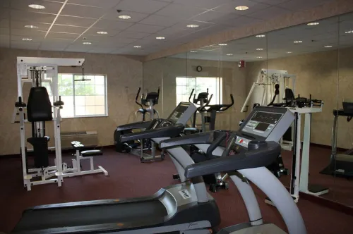 Holiday Inn Express Madera-Yosemite PK Area Leisure & Recreation Photos