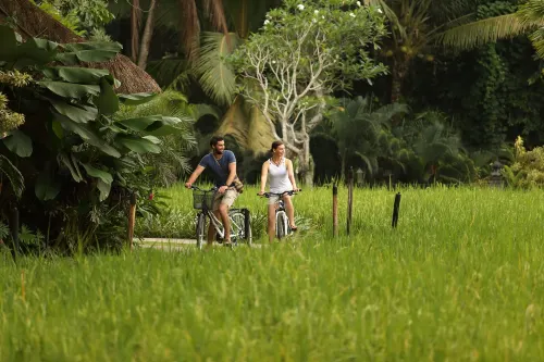 Plataran Ubud Hotel & Spa Dekat Hotel Photos