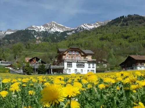 Hotel Alpenrose beim Ballenberg Außen Photos