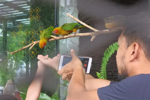 Aviary Bintaro Photos