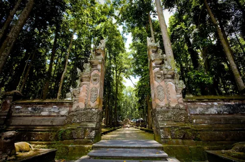 Amarea Resort Ubud by Ini VIE Hospitality Near Hotel Photos