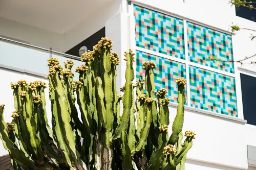 AxelBeach Maspalomas - Apartments and Lounge Club - Adults Only Exterior Photos